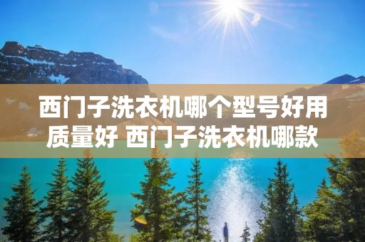 西门子洗衣机哪个型号好用质量好 西门子洗衣机哪款型号好 西门子洗衣机哪个型号好用质量好 西门子洗衣机哪款型号好