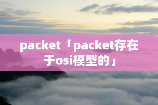 packet「packet存在于osi模型的」