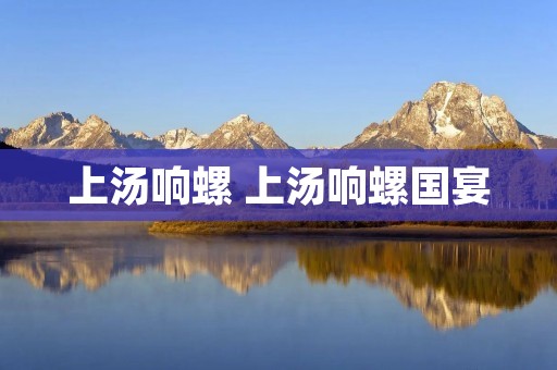 上汤响螺 上汤响螺国宴