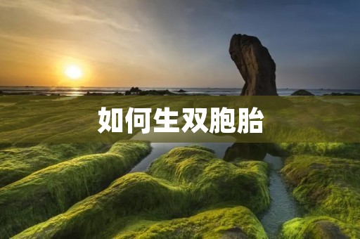 如何生双胞胎