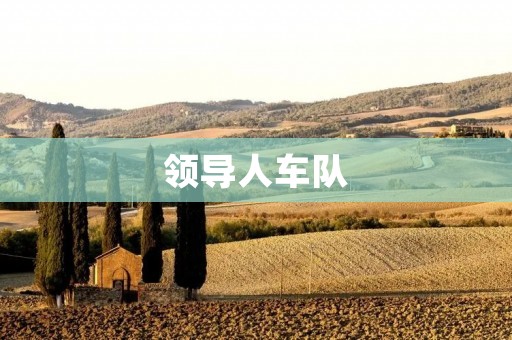 领导人车队:安全保障与效率之间的平衡 领导人车队:安全保障与效率之间的平衡