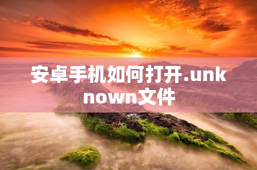安卓手机如何打开.unknown文件