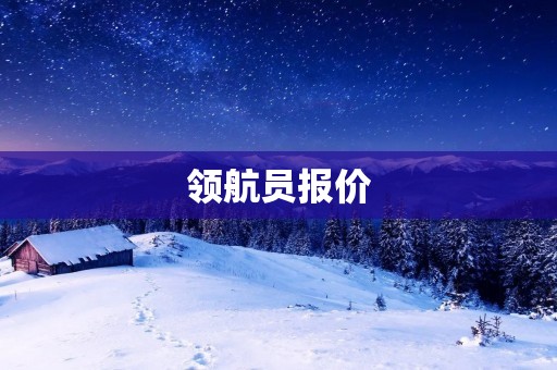 领航员报价:为您提供专业的导航服务 领航员报价:为您提供专业的导航服务