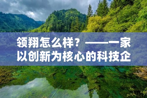 领翔怎么样？——一家以创新为核心的科技企业