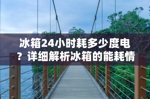 冰箱24小时耗多少度电？详细解析冰箱的能耗情况