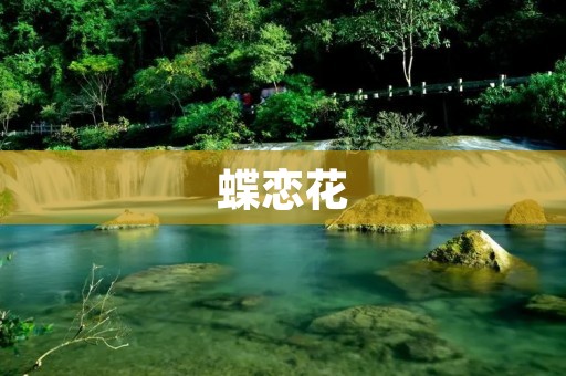 蝶恋花：花间蝶舞的美妙情缘
