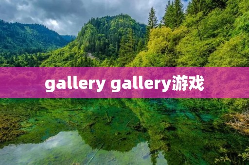 gallery gallery游戏