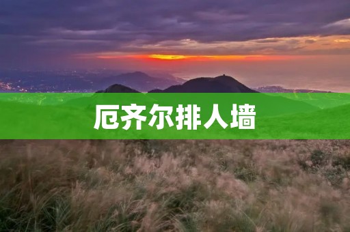 厄齐尔排人墙：一场争议的战术与个人选择