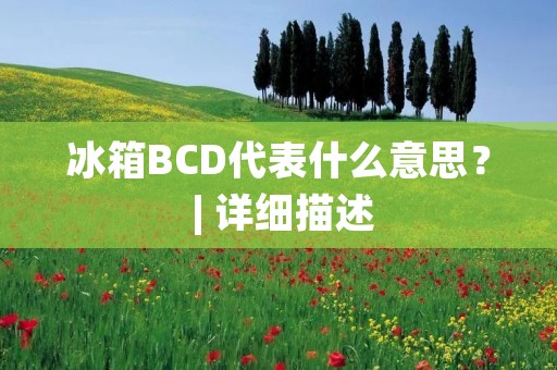 冰箱BCD代表什么意思? | 详细描述 冰箱BCD代表什么意思? | 详细描述