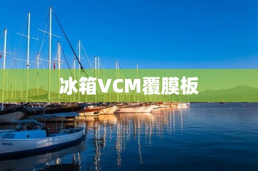 冰箱VCM覆膜板:提升冰箱外观与耐久性的理想选择 冰箱VCM覆膜板:提升冰箱外观与耐久性的理想选择