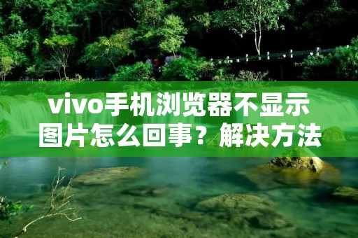 vivo手机浏览器不显示图片怎么回事?解决方法详解