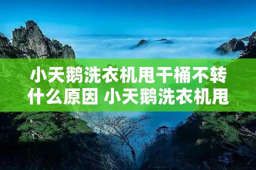 小天鹅洗衣机甩干桶不转什么原因 小天鹅洗衣机甩干桶不转什么原因呢 小天鹅洗衣机甩干桶不转什么原因 小天鹅洗衣机甩干桶不转什么原因呢