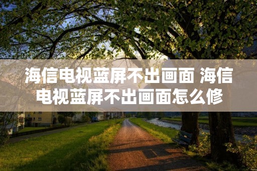 海信电视蓝屏不出画面 海信电视蓝屏不出画面怎么修