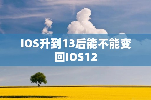 IOS升到13后能不能变回IOS12