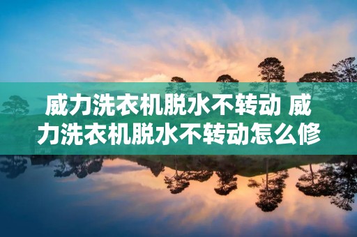 威力洗衣机脱水不转动 威力洗衣机脱水不转动怎么修