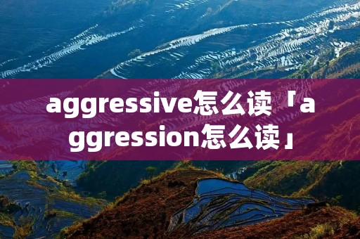 aggressive怎么读「aggression怎么读」