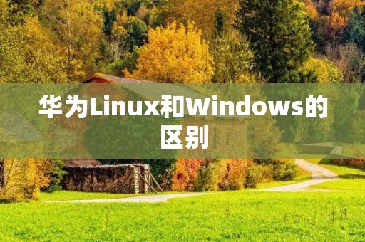 华为Linux和Windows的区别