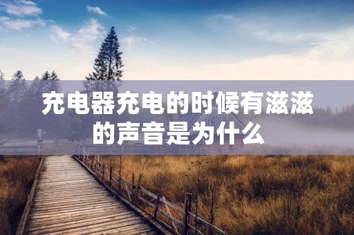 充电器充电的时候有滋滋的声音是为什么
