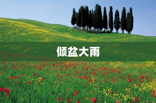 倾盆大雨：一场狂暴的自然之力