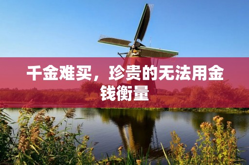 千金难买,珍贵的无法用金钱衡量