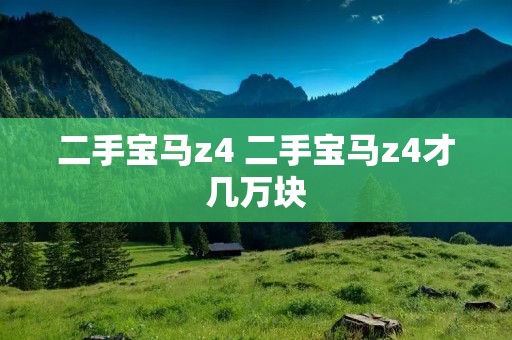 二手宝马z4 二手宝马z4才几万块