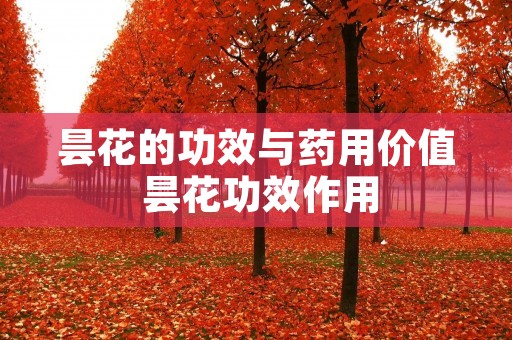 昙花的功效与药用价值 昙花功效作用