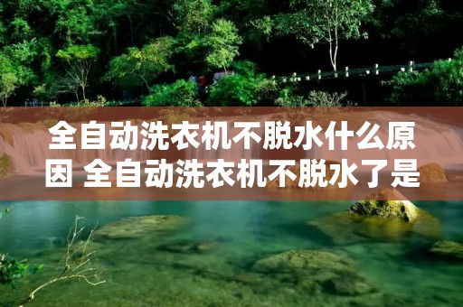 全自动洗衣机不脱水什么原因 全自动洗衣机不脱水了是怎么回事