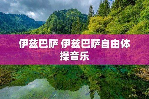 伊兹巴萨 伊兹巴萨自由体操音乐