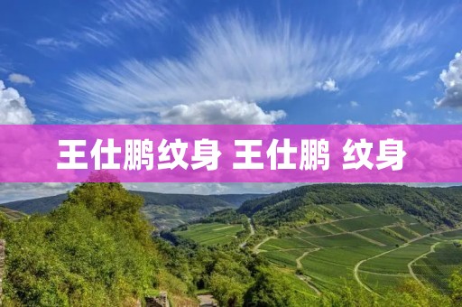王仕鹏纹身 王仕鹏 纹身