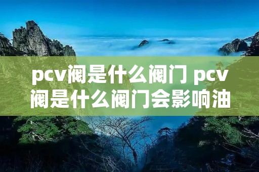 pcv阀是什么阀门 pcv阀是什么阀门会影响油耗吗 pcv阀是什么阀门 pcv阀是什么阀门会影响油耗吗