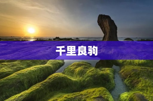 千里良驹:疾驰而至的华丽飞驰