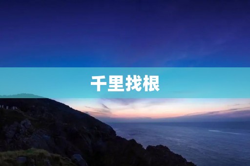 千里找根:寻觅内心的归属