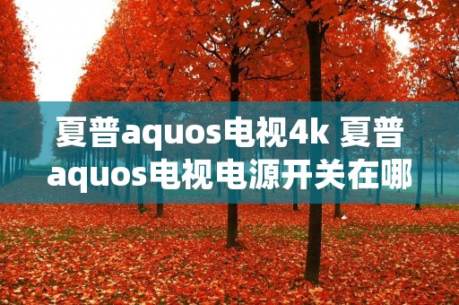夏普aquos电视4k 夏普aquos电视电源开关在哪 夏普aquos电视4k 夏普aquos电视电源开关在哪