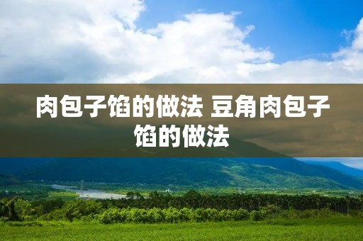 肉包子馅的做法 豆角肉包子馅的做法