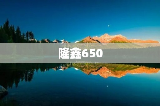 隆鑫650:一款高性能的电动摩托车 隆鑫650:一款高性能的电动摩托车