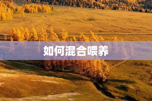 如何混合喂养:宝宝成长的多元选择