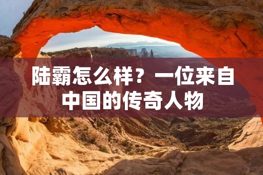 陆霸怎么样？一位来自中国的传奇人物