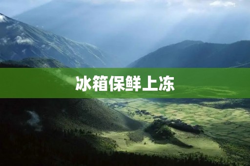 冰箱保鲜上冻：解析冷藏技术的原理与应用