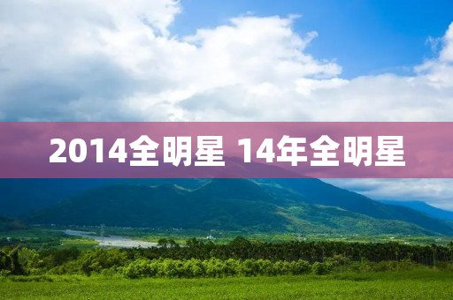 2014全明星 14年全明星