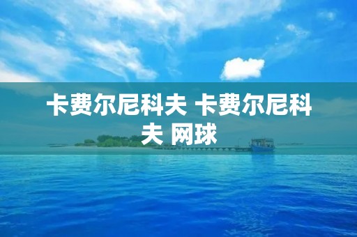 卡费尔尼科夫 卡费尔尼科夫 网球 卡费尔尼科夫 卡费尔尼科夫 网球