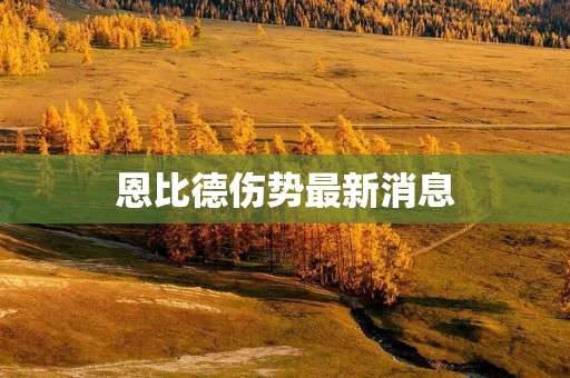 恩比德伤势最新消息：重伤令球迷担忧，他的康复之路任重而道远