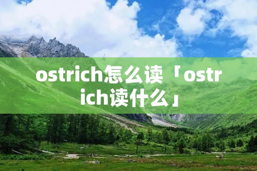 ostrich怎么读「ostrich读什么」