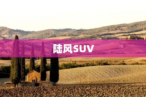 陆风SUV:重新定义豪华越野车 陆风SUV:重新定义豪华越野车