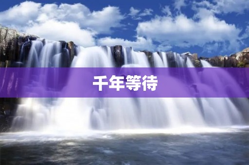 千年等待:寻觅永恒的等待