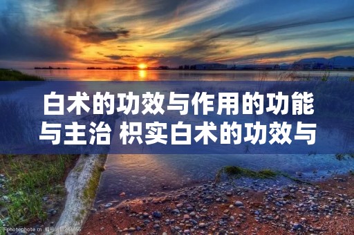 白术的功效与作用的功能与主治 枳实白术的功效与作用的功能与主治