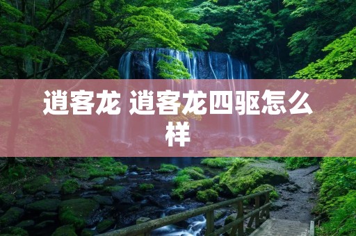 逍客龙 逍客龙四驱怎么样 逍客龙 逍客龙四驱怎么样