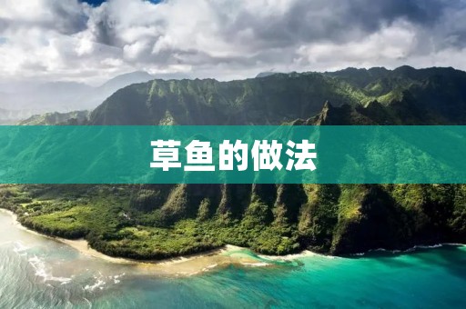 草鱼的做法:家常美味的草鱼烹饪秘笈 草鱼的做法:家常美味的草鱼烹饪秘笈