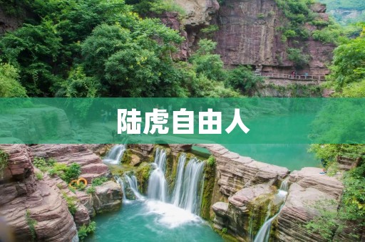 陆虎自由人:自由驰骋在未知世界的征程 陆虎自由人:自由驰骋在未知世界的征程
