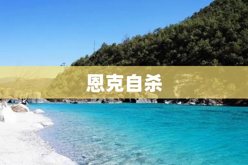 恩克**:一场悲剧背后的思考与警示 恩克**:一场悲剧背后的思考与警示