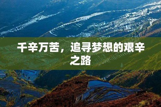 千辛万苦,追寻梦想的艰辛之路